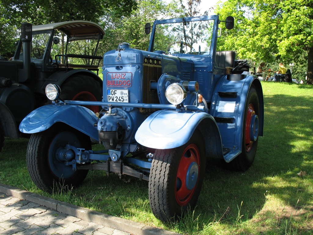 Rostblütenfest Dreieich Juni 2019