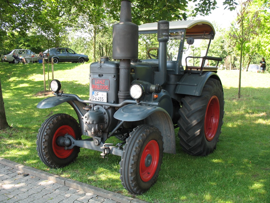 Rostblütenfest Dreieich Juni 2019